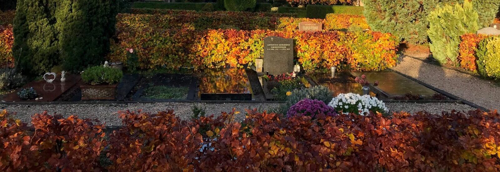 Herfst Overveen