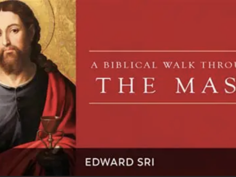 Screenshot 2025-12-04 at 11.49.42