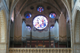 Haarlem kathedraal 071122 003bew4hor