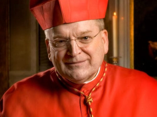 Cardinal-Burke-copy-to-edit-copy-e1725233038166